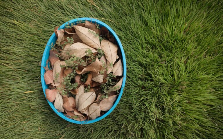 Comment vos déchets organiques de jardin pourraient sauver vos plantes cet hiver : découvrez les secrets méconnus