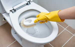 Vous voulez des toilettes éclatantes sans nuire à la planète ? Découvrez comment avec ces astuces naturelles simples